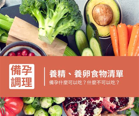 幫助受孕|備孕吃什麼？什麼不可以吃？養精、養卵食物清單